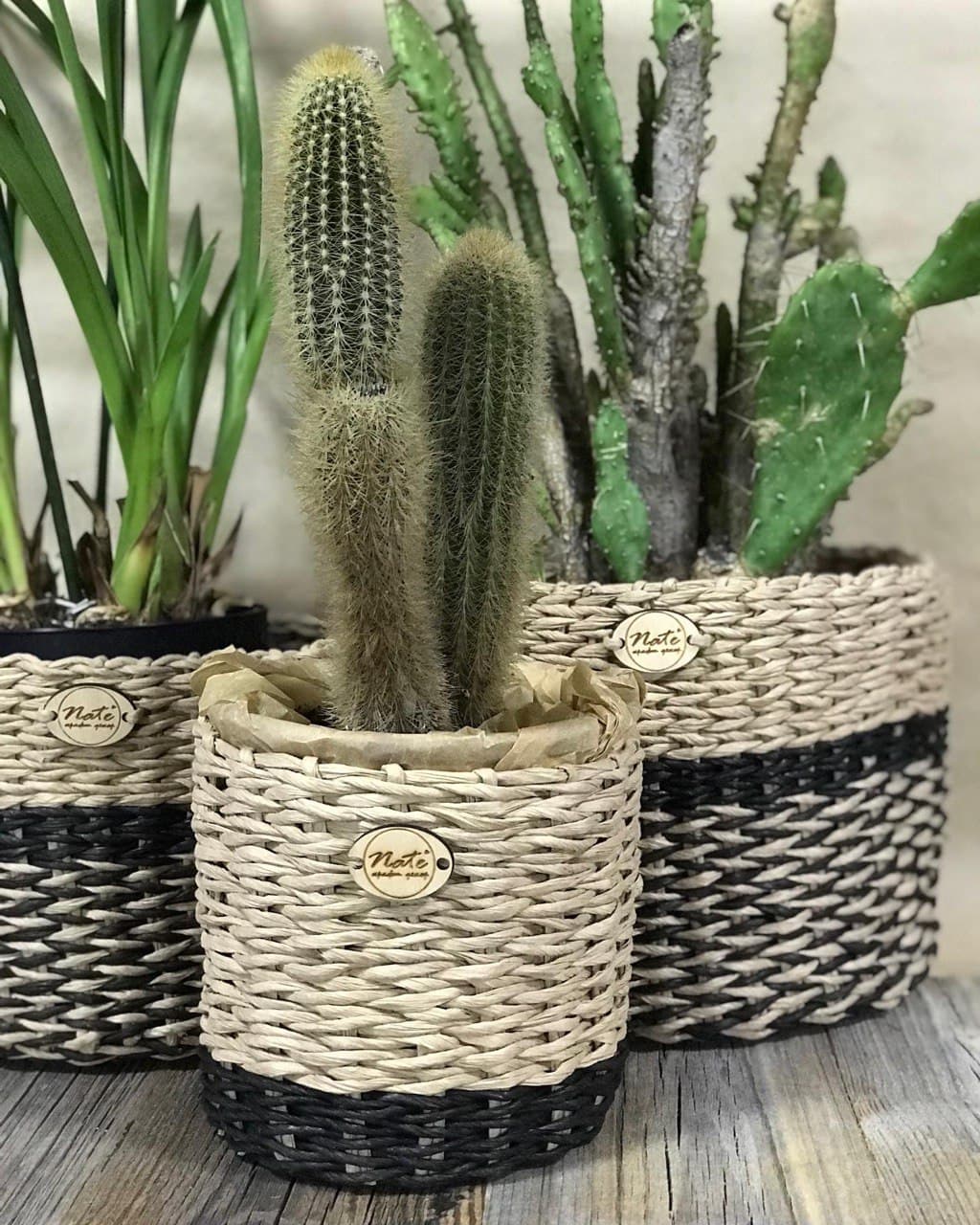 Wicker round baskets "RONDO"